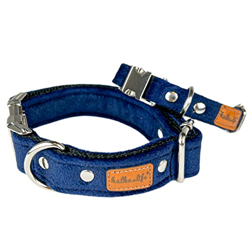 Hundehalsbänder aus Samt. Dicke und strapazierfähige Halsbänder für Hunde und Katzen. Wasserdicht und leicht zu reinigen. (Marineblau, L (2,5 cm / 37-57 cm)) von Halkalife