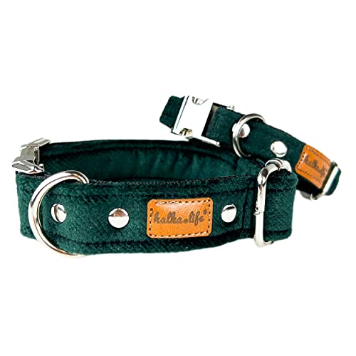 Hundehalsbänder aus Samt – Dickes und langlebiges Halsband für Hunde – Starke Metallschnalle und leicht zu reinigendes Hundehalsband – Hergestellt in der EU (Flaschengrün, M (2,5 cm / 27-44 cm)) von Halkalife