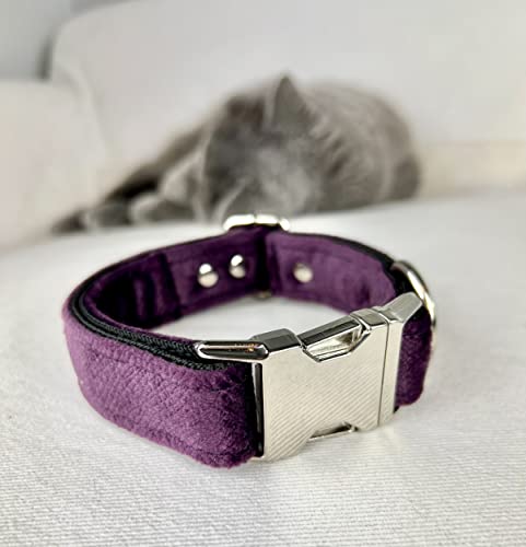 Hundehalsbänder aus Samt – Dickes und langlebiges Halsband für Hunde – Starke Metallschnalle und leicht zu reinigendes Hundehalsband – Hergestellt in der EU (Pflaume, M (2,5 cm / 27-44 cm)) von Halkalife