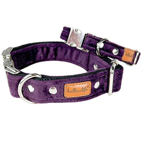 Hundehalsbänder aus Samt – Dickes und langlebiges Halsband für Hunde – Starke Metallschnalle und leicht zu reinigendes Hundehalsband – Hergestellt in der EU (Pflaume, S (1,5 cm / 25-35 cm)) von Halkalife