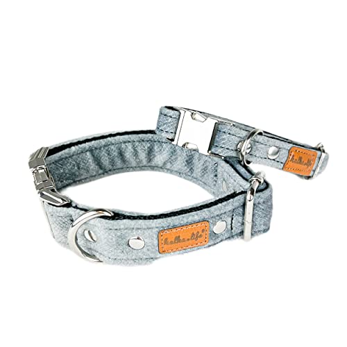 Hundehalsbänder aus Samt – Dickes und langlebiges Halsband für Hunde – Starke Metallschnalle und leicht zu reinigendes Hundehalsband – Hergestellt in der EU (Grau, XS (1,5 cm / 17-28 cm)) von Halkalife