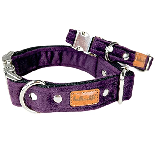 Hundehalsbänder aus Samt. Dicke und strapazierfähige Halsbänder für Hunde und Katzen. Wasserdicht und leicht zu reinigen. (Pflaume, XS (1,5 cm / 17-28 cm)) von Halkalife