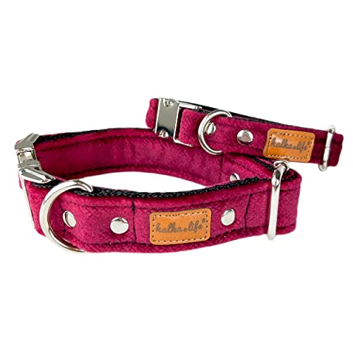 Hundehalsbänder aus Samt – Dickes und langlebiges Halsband für Hunde – Starke Metallschnalle und leicht zu reinigendes Hundehalsband – Hergestellt in der EU (Kirsche, XS (1,5 cm / 17-28 cm)) von Halkalife