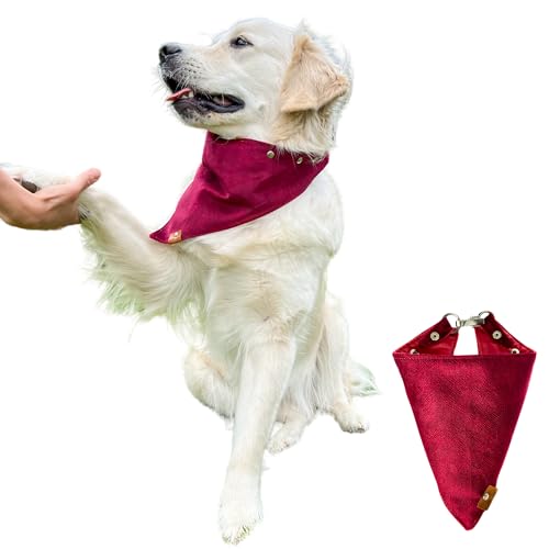 Hundehalstuch, stylisches Hundehalstuch aus Velours und zartem Futter, verstellbares Accessoire für Ihren vierbeinigen Freund, eleganter Verschluss, weicher Stoff mit angenehmer Haptik (Kirsche, L) von Halkalife