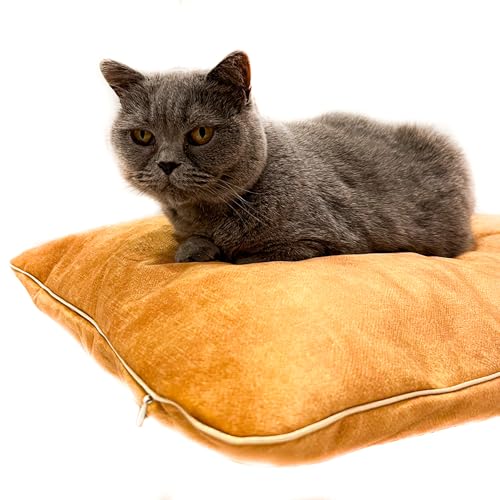 Halkalife Katzenkissen - Katzenkissen aus dickem Polstermaterial - Kissen für einen kleinen Hund und Welpen - Katzenbett aus Samt - Flauschiges, waschbares Katzenkissen (Gelb, XS) von Halkalife