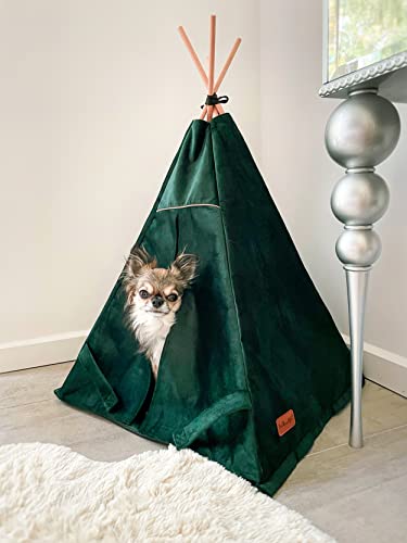 Zelt für Haustiere mit Vorhang. Hunde-Tipi-Zelt, wasserdichtes Katzen-Tipi. Katzenhöhle. Hundehaus. (M (55x55x82 cm), Flaschengrün) von Halkalife