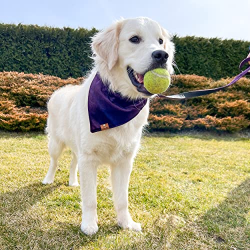 Zweifarbige Bandanas aus Samt für Haustiere. wasserdichte, strapazierfähige Bandanas für Hunde und Katzen. (Pflaume und Kirsche, L) von Halkalife