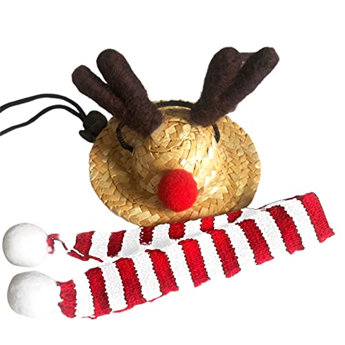 Haloppe Eidechsenmützen Schal Haustier Weihnachtsmütze Kopfbedeckung breite Krempe für kleine Haustiere Rot L von Haloppe