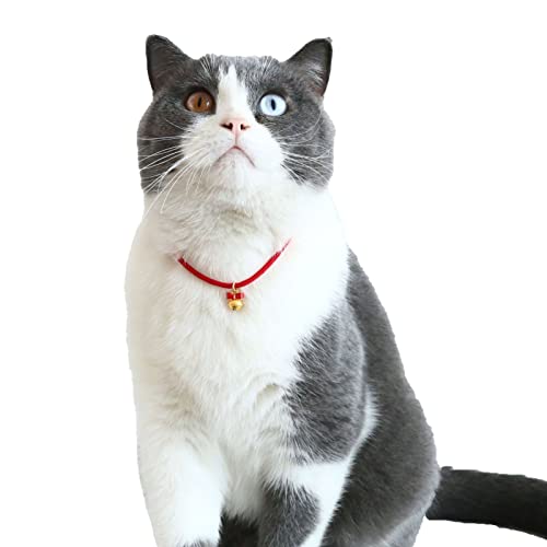 Haloppe Haustier-Halsband für Haustiere, Katzen, Welpen, milde Haut, Schleife, Glocken-Design, Rot von Haloppe