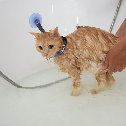 Haloppe Katzen-Badeschirr, verstellbarer Haustier-Badehalter mit Saugnapf, festes Seil, Haustierpflege, Dusche, Badegeschirr, Leine für Katzen, Hunde, Schwarz Haloppe Katzen-Badeschirr, verstellbarer Haustier-Badehalter mit Saugnapf, festes Seil, Haustierpflege, Dusche, Badegeschirr, Leine für Katzen, Hunde, Schwarz von Haloppe