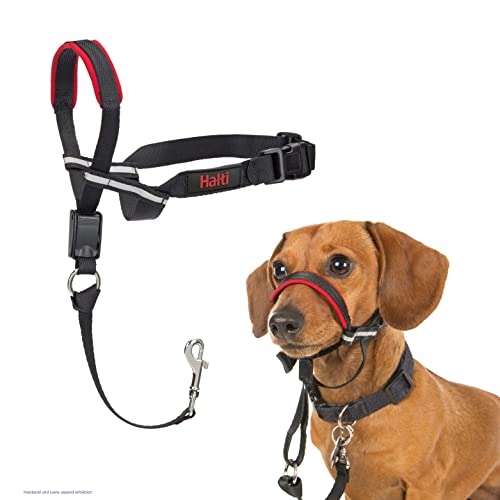 HALTI Optifit Kopfgeschirr, Größe Klein- Verhindert, dass Ihr Hund an der Leine zieht, Einfache Anpassung, Leicht, mit gepolstertem Nasenriemen, Anti-Zug-Halsband für kleine Hunde von Company of Animals