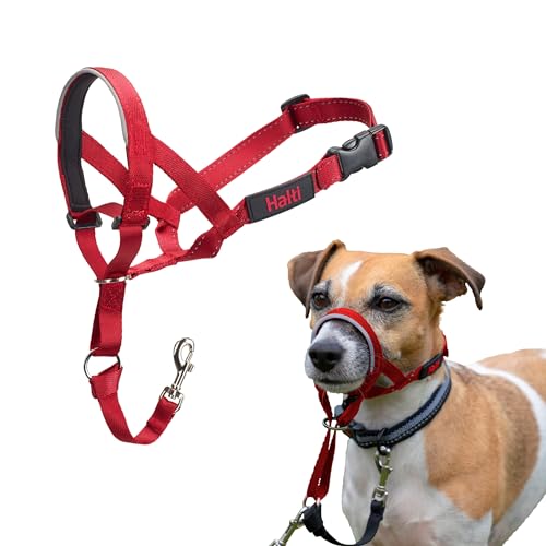 HALTI Kopfgeschirr - Verhindert, dass Ihr Hund an der Leine zieht, Einfache Anpassung, Leicht, mit gepolstertem Nasenriemen, Anti-Zug-Halsband für kleine Hunde (Größe 1, Rot) von Company of Animals