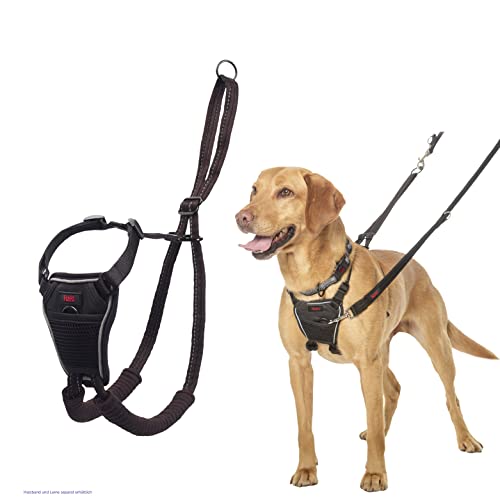 HALTI No Pull Anti-Zug Geschirr - Verhindert, dass Ihr Hund an der Leine zieht, Gepolsterter Brust- und Beingurt, Reflektierendes Gurtmaterial, Einfache Anpassung und Benutzung (Größe M) von Company of Animals