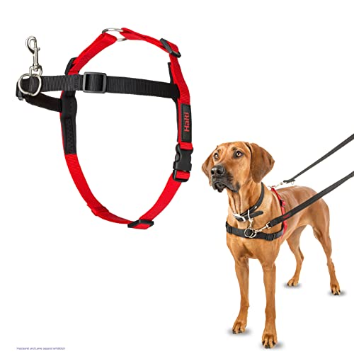 HALTI Front Control Anti-Zug Geschirr, Größe Groß - Verhindert, dass Ihr Hund an der Leine zieht, Kontrollieren Sie Ihren Hund sanft über den Brustbereich, Einfache Anpassung und Benutzung von Company of Animals