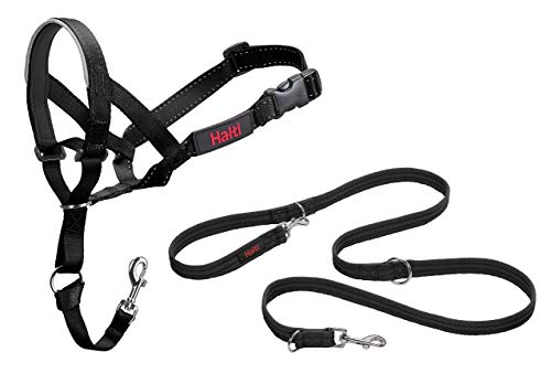 Halti Kopfhalsband und Trainingsleine Kombi-Pack, stoppt das Ziehen des Hundes auf Spaziergängen, beinhaltet Kopfhalsband Größe 3 und doppelendige Leine, schwarz von Halti