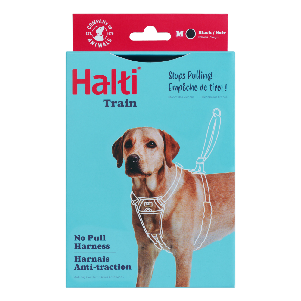 Halti Harness No Pull Trainingsgeschirr - Größe M: z.B. Retriever, Border Collie Halti Harness No Pull Trainingsgeschirr - Größe M: z.B. Retriever, Border Collie von Halti