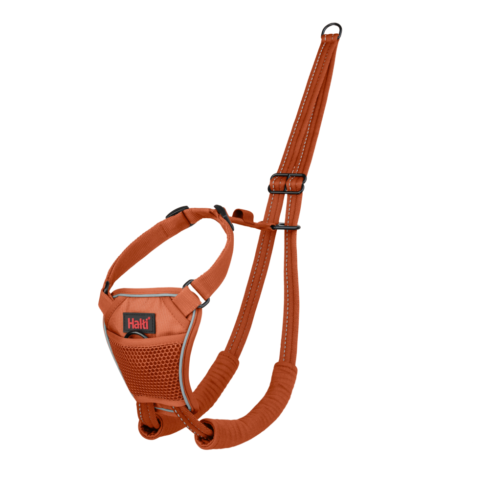 Halti Harness No Pull Trainingsgeschirr - orange: Größe M, z.B. Retriever, Border Collie Halti Harness No Pull Trainingsgeschirr - orange: Größe M, z.B. Retriever, Border Collie von Halti