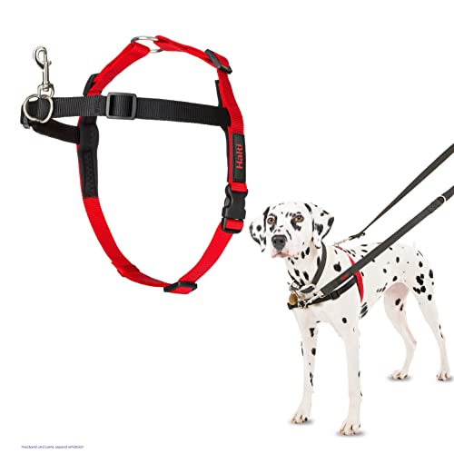 HALTI Front Control Anti-Zug Geschirr, Größe Mittel - Verhindert, dass Ihr Hund an der Leine zieht, Kontrollieren Sie Ihren Hund sanft über den Brustbereich, Einfache Anpassung und Benutzung HALTI Front Control Anti-Zug Geschirr, Größe Mittel - Verhindert, dass Ihr Hund an der Leine zieht, Kontrollieren Sie Ihren Hund sanft über den Brustbereich, Einfache Anpassung und Benutzung von Company of Animals