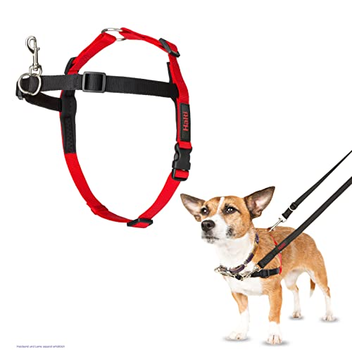 HALTI Front Control Anti-Zug Geschirr, Größe Klein - Verhindert, dass Ihr Hund an der Leine zieht, Kontrollieren Sie Ihren Hund sanft über den Brustbereich, Einfache Anpassung und Benutzung von Company of Animals