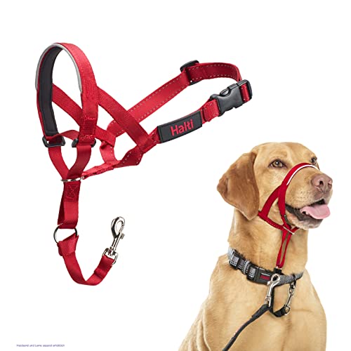 HALTI Kopfgeschirr - Verhindert, dass Ihr Hund an der Leine zieht, Einfache Anpassung, Leicht, mit gepolstertem Nasenriemen, Anti-Zug-Halsband für mittelgroße Hunde (Größe 3, Rot) von Company of Animals