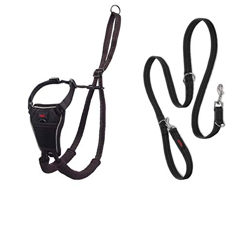 Halti No Pull Geschirr und Trainingsleine Kombi-Pack, Stop Dog Pulling on Walks with Halti, Includes Medium Halti No Pull Harness and Double Ended Lead von Company of Animals