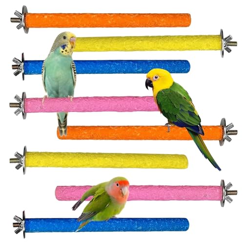 Hamiledy Vogelsitzstange, Spielzeug, Holz, Papageien-Sitzstange, Plattform, Vogelkäfig-Sitzstangen für Sittiche, Nymphensittiche, Sittiche, Sittiche, Sittiche, Sittiche, Sittiche, Kanarienvögel, grüne Hamiledy Vogelsitzstange, Spielzeug, Holz, Papageien-Sitzstange, Plattform, Vogelkäfig-Sitzstangen für Sittiche, Nymphensittiche, Sittiche, Sittiche, Sittiche, Sittiche, Sittiche, Kanarienvögel, grüne von Hamiledyi