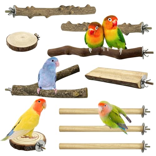Hamiledyi 10 Stück Vogelsitzstange Papageienholz Sitzstange Papageienständer Ast Pfote Schleifgabel Sittich Plattform Vogelkäfig Zubehör für kleine Vögel Conure Chinchilla Sittiche Wellensittiche Hamiledyi 10 Stück Vogelsitzstange Papageienholz Sitzstange Papageienständer Ast Pfote Schleifgabel Sittich Plattform Vogelkäfig Zubehör für kleine Vögel Conure Chinchilla Sittiche Wellensittiche von Hamiledyi