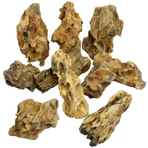 Hamiledyi 10 Stück natürliche Aquarium-Steine, 5,1 cm bis 12,7 cm, Drachenstein, Aquarium-Dekoration, Felsen, Aquascape Felsen, Landschaftsbau, Modell für Aquarien, Terrarien, Vivarien von Hamiledyi