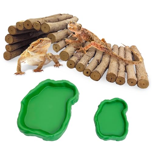 Hamiledyi 30.0 cm L x 17.0 cm W Holz Reptilienbrückenleiter Kletterspielzeug Natürliches Versteck Tunnel Rampe mit Reptilien Futter Wasserschale für Eidechsen Gecko Spinnen Schlangen Schildkröte Hamiledyi 30.0 cm L x 17.0 cm W Holz Reptilienbrückenleiter Kletterspielzeug Natürliches Versteck Tunnel Rampe mit Reptilien Futter Wasserschale für Eidechsen Gecko Spinnen Schlangen Schildkröte von Hamiledyi