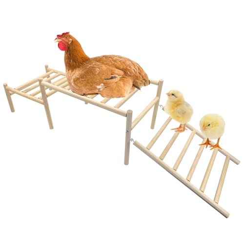 Hamiledyi Abgeschrägte Hühnerstall – Kletterstange mit Spielplatz-Design, fördert natürliche Bewegung & gesunde Kletteraktivität für Hühner (einfache Montage) von Hamiledyi