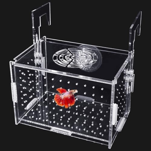 Hamiledyi Acryl-Zucht-Isolationsbox – transparente Aquarium-Bruterie für Guppy/Shrimpen/kleine Fische, sicheres Kinderzimmerbecken mit Luftschlauch und Saugnäpfen (15 x 9,9 x 9,9 cm) von Hamiledyi