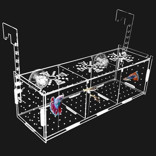 Hamiledyi Acryl-Zucht-Isolationsbox – transparente Aquarium-Bruterie für Guppy/Shrimpen/kleine Fische, sicheres Kinderzimmerbecken mit Luftschlauch und Saugnäpfen (30 x 9,9 x 9,9 cm) von Hamiledyi
