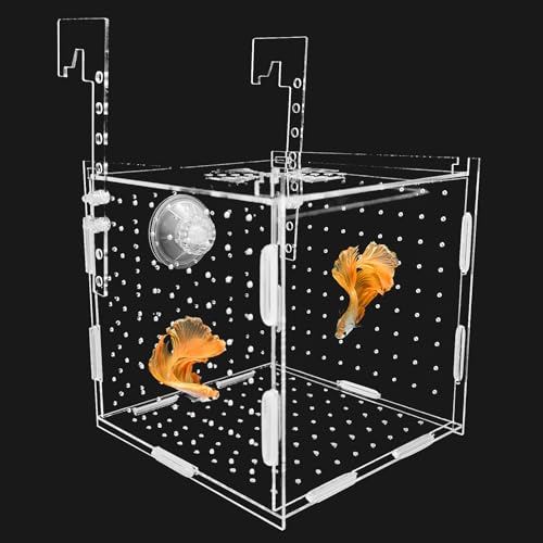 Hamiledyi Acryl-Zucht-Isolationsbox – transparente Aquariumbrutstätte für Guppy/Shrimpen/kleine Fische, sicheres Kinderzimmerbecken mit Luftschlauch und Saugnäpfen (15 x 15 x 15 cm) von Hamiledyi