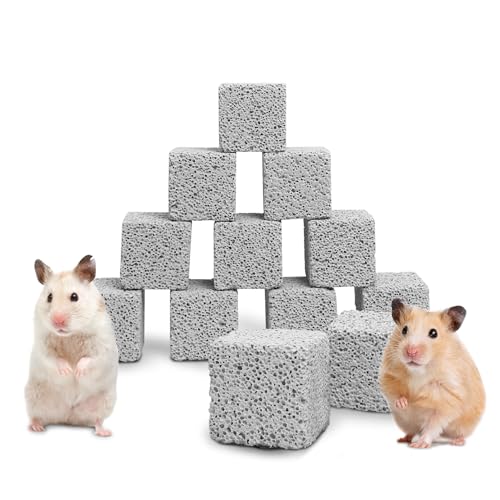 Hamiledyi Chinchilla Lavablöcke für Kaninchen, Kauspielzeug, Kaninchen, Lava-Zähne, quadratischer Stein, Kleintiere, Mineral-Kalziumstein, für Hamster, Kaninchen, Chinchillas, Eichhörnchen, Maus, Hamiledyi Chinchilla Lavablöcke für Kaninchen, Kauspielzeug, Kaninchen, Lava-Zähne, quadratischer Stein, Kleintiere, Mineral-Kalziumstein, für Hamster, Kaninchen, Chinchillas, Eichhörnchen, Maus, von Hamiledyi
