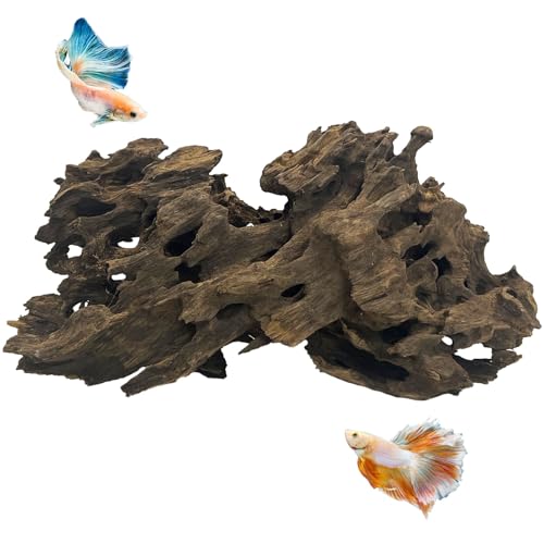 Hamiledyi Großes Treibholz für Aquarium-Dekoration, natürliches Aquarium-Holz mit Loch, Aquarium-Holz, Aquascaping für Garnelen, Betta, Einsiedlerkrebse und Schmetterlingsfische Hamiledyi Großes Treibholz für Aquarium-Dekoration, natürliches Aquarium-Holz mit Loch, Aquarium-Holz, Aquascaping für Garnelen, Betta, Einsiedlerkrebse und Schmetterlingsfische von Hamiledyi