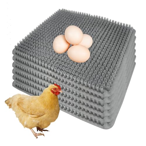 Hamiledyi Hühner-Nistunterlagen für Hühnerstall, Geflügel, Nistboxen, waschbar, Kunststoffeinlagen, wiederverwendbare Eierlegematten für Hühnerstall, Geflügel, Nistkästen, Enten, Nistunterlagen Hamiledyi Hühner-Nistunterlagen für Hühnerstall, Geflügel, Nistboxen, waschbar, Kunststoffeinlagen, wiederverwendbare Eierlegematten für Hühnerstall, Geflügel, Nistkästen, Enten, Nistunterlagen von Hamiledyi