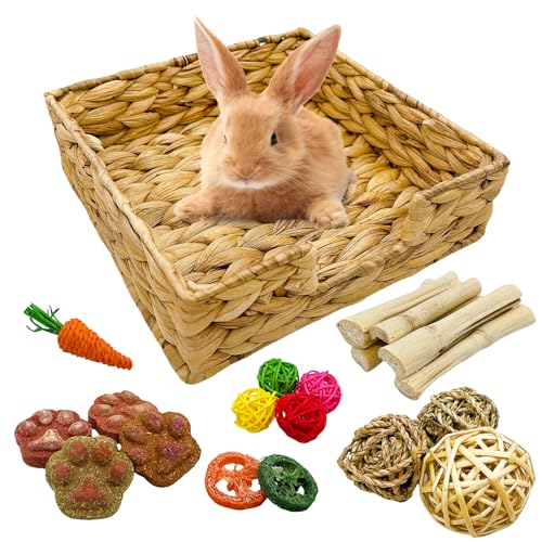Hamiledyi Kaninchengrasbett, gewebtes Gras, Haustierbett, Meerschweinchen, Käfigspielzeug für Kaninchen, Rennmäuse, Chinchilla, Meerschweinchen, Frettchen und andere Kleintiere Hamiledyi Kaninchengrasbett, gewebtes Gras, Haustierbett, Meerschweinchen, Käfigspielzeug für Kaninchen, Rennmäuse, Chinchilla, Meerschweinchen, Frettchen und andere Kleintiere von Hamiledyi