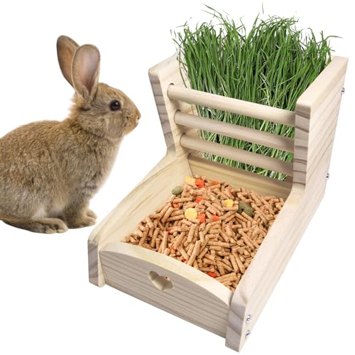 Hamiledyi Kleiner Kaninchen-Heu-Futterspender mit Holzfutter-Futterkrippe Häschen Heuspender Kleintiere Grashalter für Meerschweinchen Hamster Häschen Chinchilla von Hamiledyi