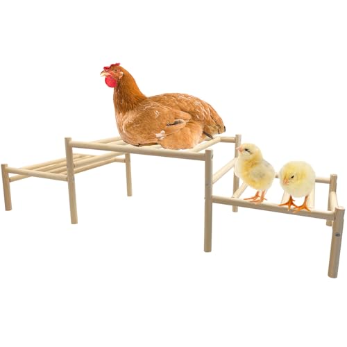 Hamiledyi Kletterbare Hühner-Wurststange für Stall – Geflügelstange aus Naturholz mit Übungs- & Spielplatz-Design, langlebige Kletterstange für Hühner zum Spielen und Gesund bleiben von Hamiledyi