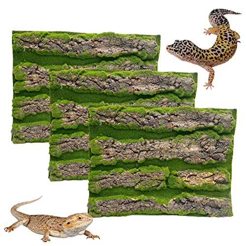 Hamiledyi Kork-Hintergrund für Terrarium, 3 Stück Reptilien-Tank-Wanddekoration Bartagamen-Gehege Hintergrund Gecko Schlange Schildkröte Eidechse Frosch Käfig Dekoration von Hamiledyi