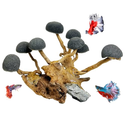 Hamiledyi Moos-Treibholz-Baum, natürliche Aquarium-Dekoration, handgefertigt, Aquarium-Ornamente von Hamiledyi