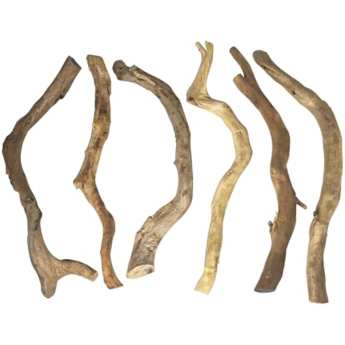 Hamiledyi Natürliches Treibholz für Aquarium-Dekoration, rotes Moorholz, 25,4 cm - 38,1 cm lang, verschiedene Formen (600 g), sichere Zweige für Aquarien und Reptilien, natürliche von Hamiledyi