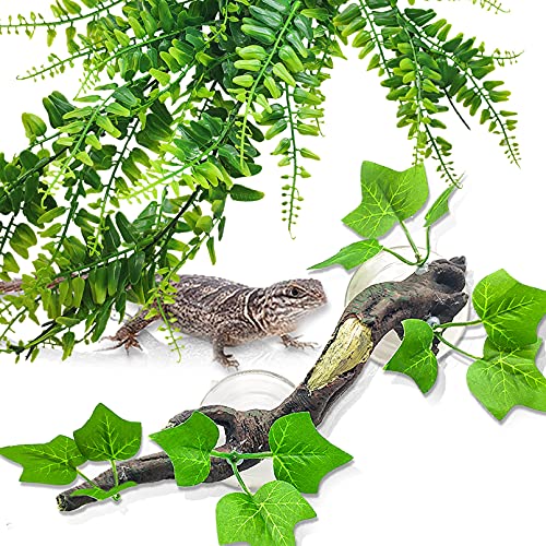 Hamiledyi Reptilien-Eckzweig, Kletter-Terrarium, Pflanzen-Dekoration, künstliche Reben zum Aufhängen mit Saugnapf, für Amphibien, Bartdrachen, Eidechsen, Schlangen, Frösche, Geckos, Tank-Dekoration Hamiledyi Reptilien-Eckzweig, Kletter-Terrarium, Pflanzen-Dekoration, künstliche Reben zum Aufhängen mit Saugnapf, für Amphibien, Bartdrachen, Eidechsen, Schlangen, Frösche, Geckos, Tank-Dekoration von Hamiledyi