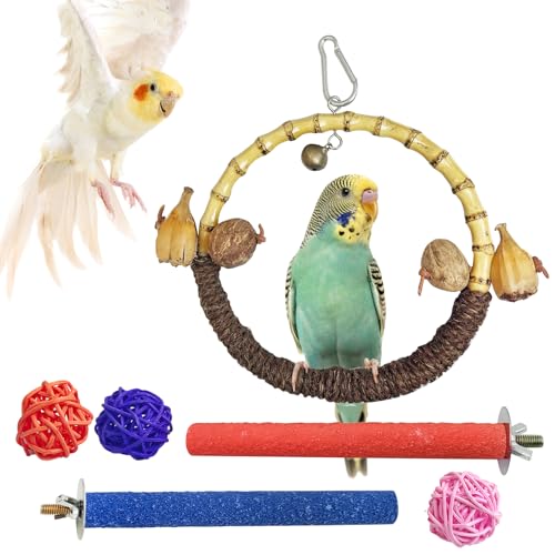 Hamiledyi Sittichschaukel Vogelkäfig Zubehör, Vogelschaukel Spielzeug, Kleine Vögel Hängender Käfig, Ständer Papagei Sitzstange Kauspielzeug für Papagei, Wellensittich, Nymphensittiche, Conures Hamiledyi Sittichschaukel Vogelkäfig Zubehör, Vogelschaukel Spielzeug, Kleine Vögel Hängender Käfig, Ständer Papagei Sitzstange Kauspielzeug für Papagei, Wellensittich, Nymphensittiche, Conures von Hamiledyi