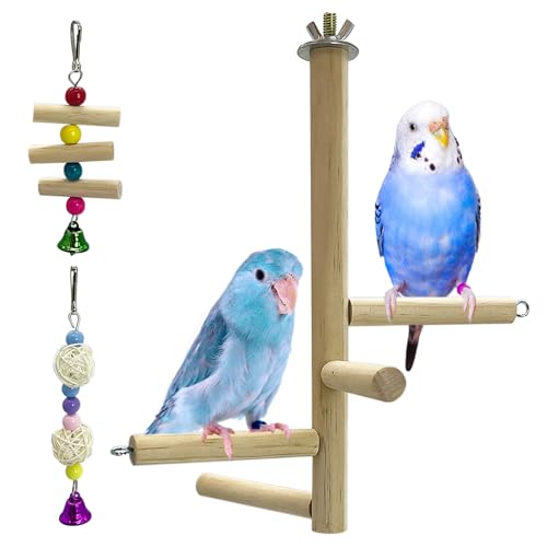 Hamiledyi Sittichständer aus Naturholz mit rotierenden Bällen, drehbarer Vogel-Sitzstange, Spielzeug für Sittiche, Nymphensittiche, Sittiche, Wellensittiche, Finken von Hamiledyi