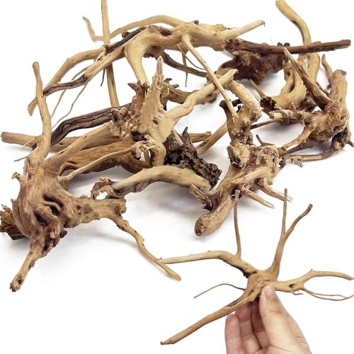 Hamiledyi Spinnenholz für Aquarium-Dekoration, kleines Spinnenholz, 10,2 cm - 15,2 cm, Aquarium, Holz, Aquascaping für Garnelen, Betta, Einsiedlerkrebse und Schmetterlingsfische, 10 Stück von Hamiledyi