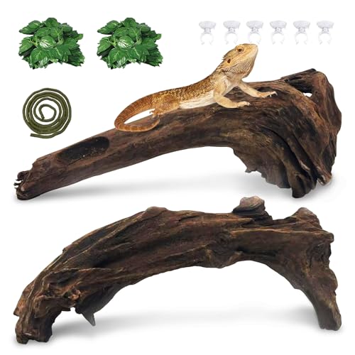 Hamiledyi Treibholz für Reptilienbecken, 19,1–36,8 cm, natürliches Bartdrachenholz, Schlange, Kletterzweig, Dekoration, sortiertes Treibholz, Terrarium, Zubehör für Kugel, Python, Gecko, Eidechse, Hamiledyi Treibholz für Reptilienbecken, 19,1–36,8 cm, natürliches Bartdrachenholz, Schlange, Kletterzweig, Dekoration, sortiertes Treibholz, Terrarium, Zubehör für Kugel, Python, Gecko, Eidechse, von Hamiledyi