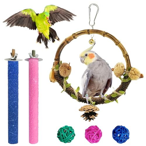 Hamiledyi Vogelkäfig-Zubehör, 6 Stück, Vogelschaukel, Tannenzapfen, Kauspielzeug, kleine Vögel, Hängekäfig, Ständer für Papageien, Sittiche, Sittiche, Sittiche, Sittiche, Nymphensittiche, Sittiche, Hamiledyi Vogelkäfig-Zubehör, 6 Stück, Vogelschaukel, Tannenzapfen, Kauspielzeug, kleine Vögel, Hängekäfig, Ständer für Papageien, Sittiche, Sittiche, Sittiche, Sittiche, Nymphensittiche, Sittiche, von Hamiledyi