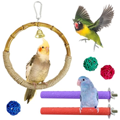 Hamiledyi Vogelschaukeln für Sittiche, 6 Stück, Vogelkäfig-Zubehör, kleine Vögel zum Aufhängen, Käfig, Ständer für Papageien, Wellensittiche, Nymphensittiche, Sittiche, Finken Hamiledyi Vogelschaukeln für Sittiche, 6 Stück, Vogelkäfig-Zubehör, kleine Vögel zum Aufhängen, Käfig, Ständer für Papageien, Wellensittiche, Nymphensittiche, Sittiche, Finken von Hamiledyi