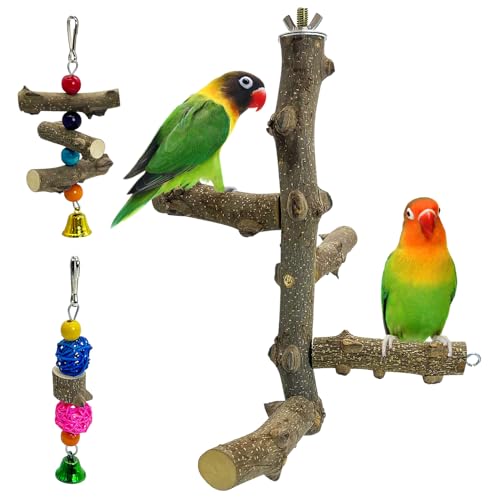 Hamiledyi Vogelsitzstange aus Naturholz mit rotierenden Kugeln – drehendes Vogelspielzeug für Sittiche, Nymphensittiche, Sittiche, Wellensittiche, Finken & Liebesvögel von Hamiledyi